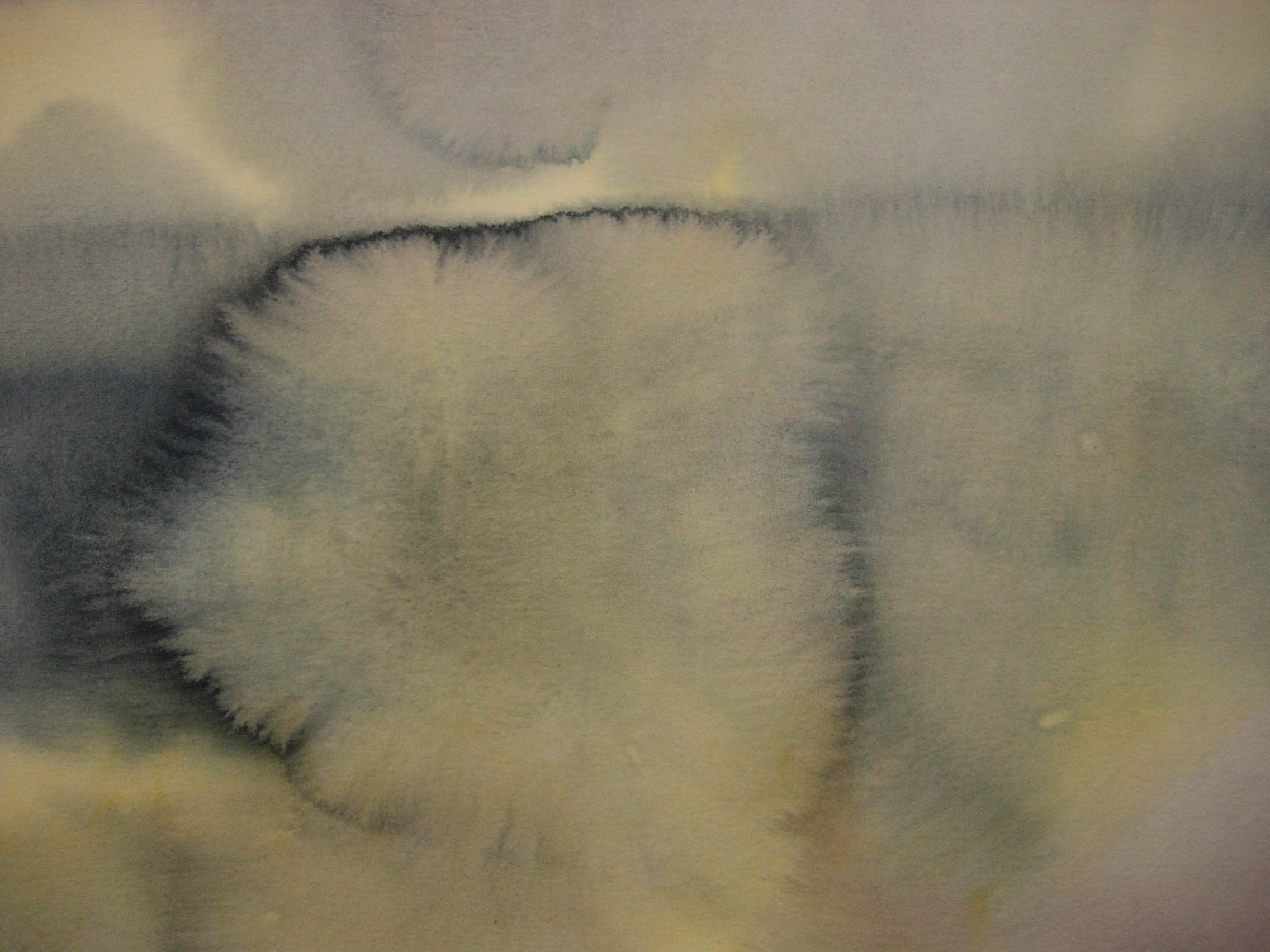 Rebecca Steedman